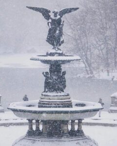 winters garden wonders